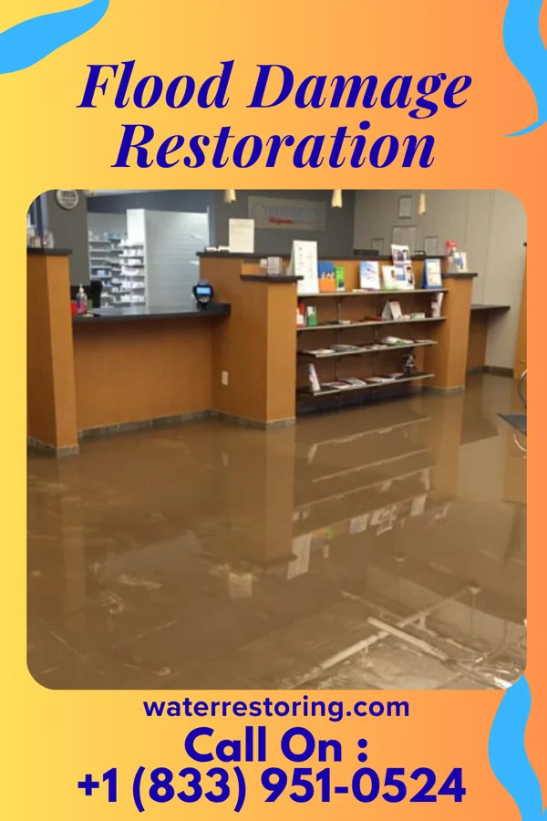 Flood Damage Restoration in Marietta, MN