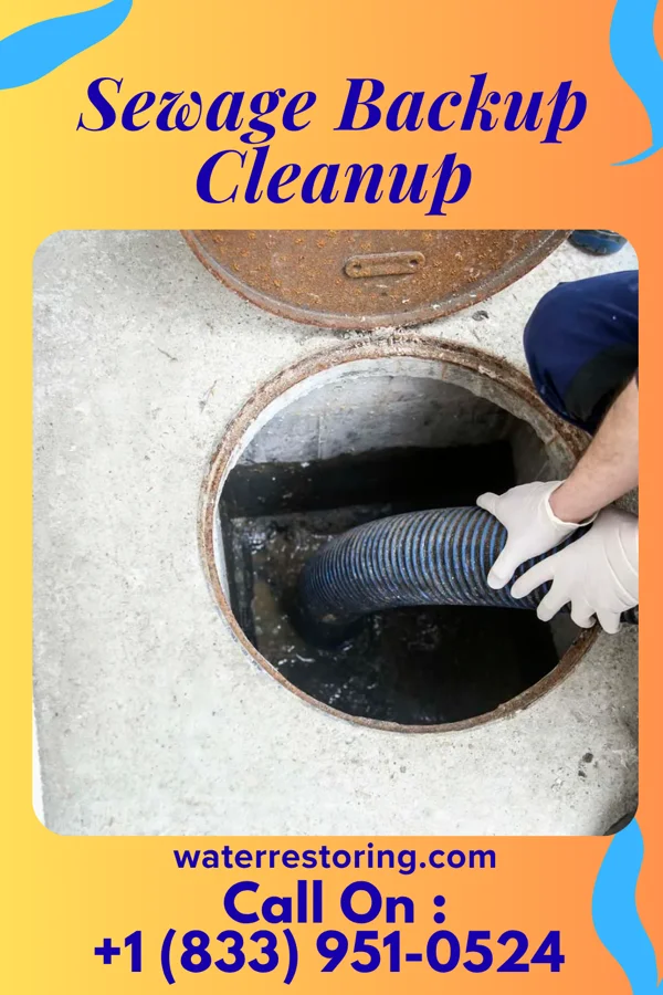 Sewage Backup Cleanup in Marietta, MN