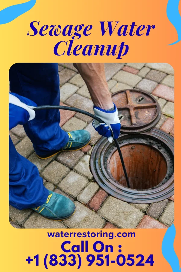 Sewage Water Cleanup in Marietta, MN